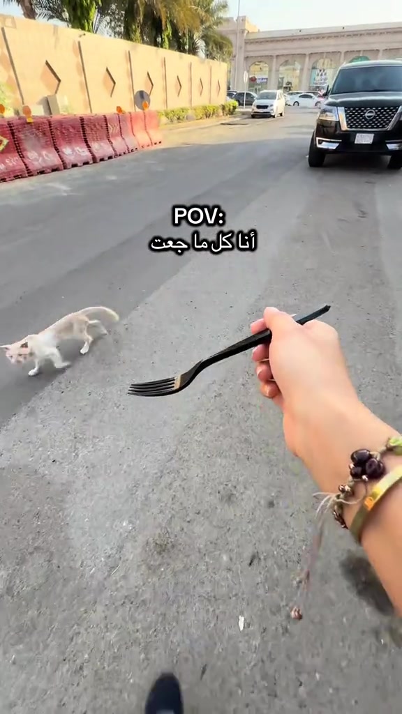 @Sushini سوشيني
