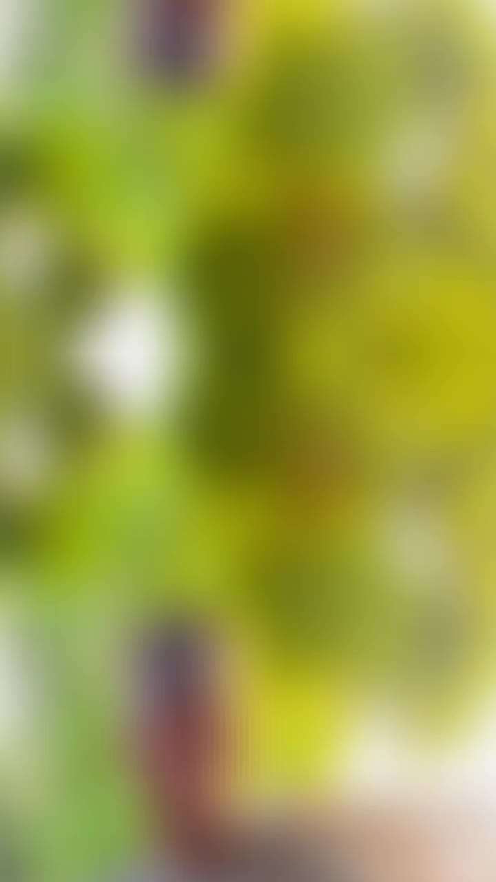 @jangashi_1