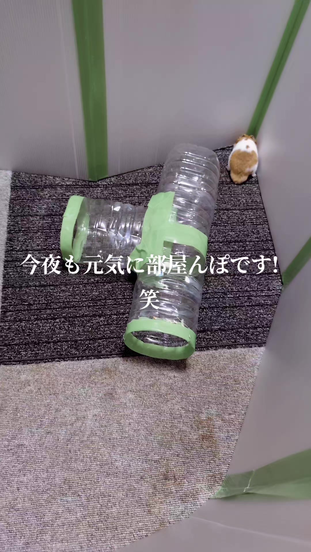 @K・B・M