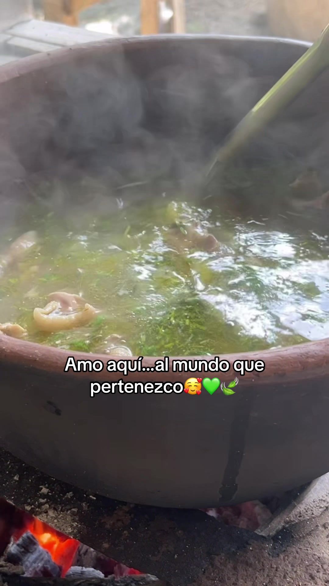 @selenemoreira3