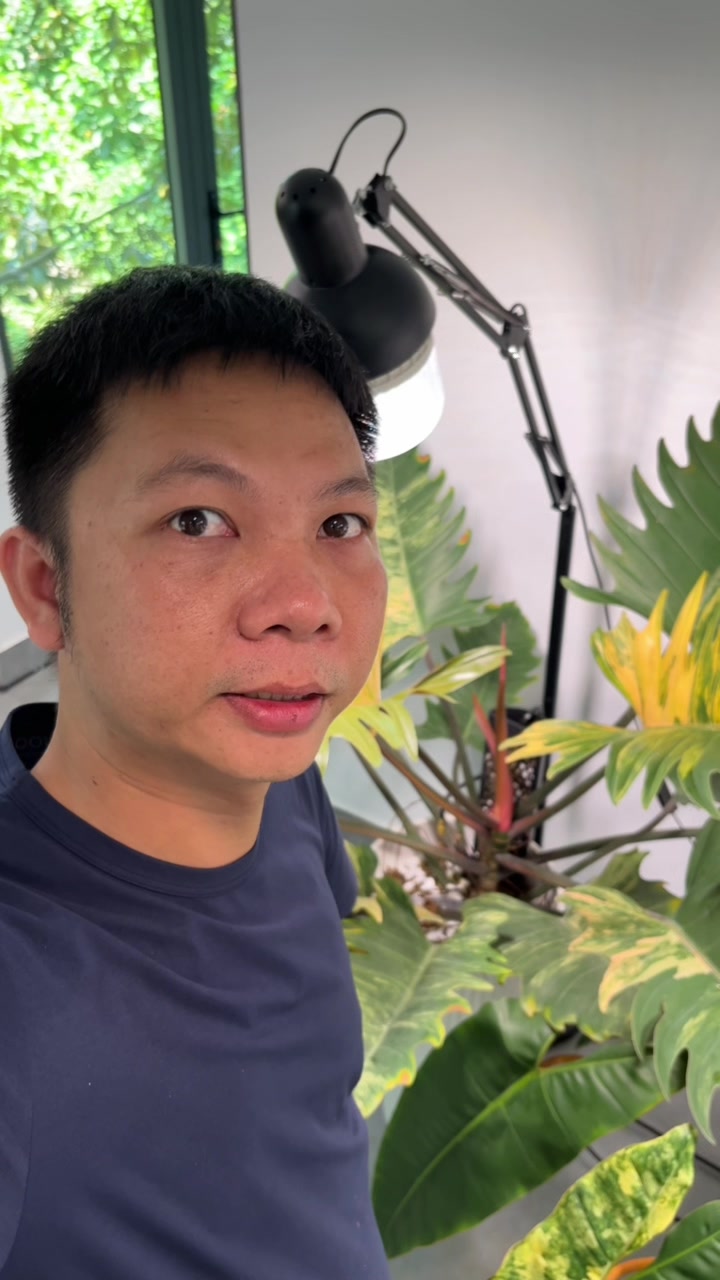 @Huy Kiểng L&aacute;