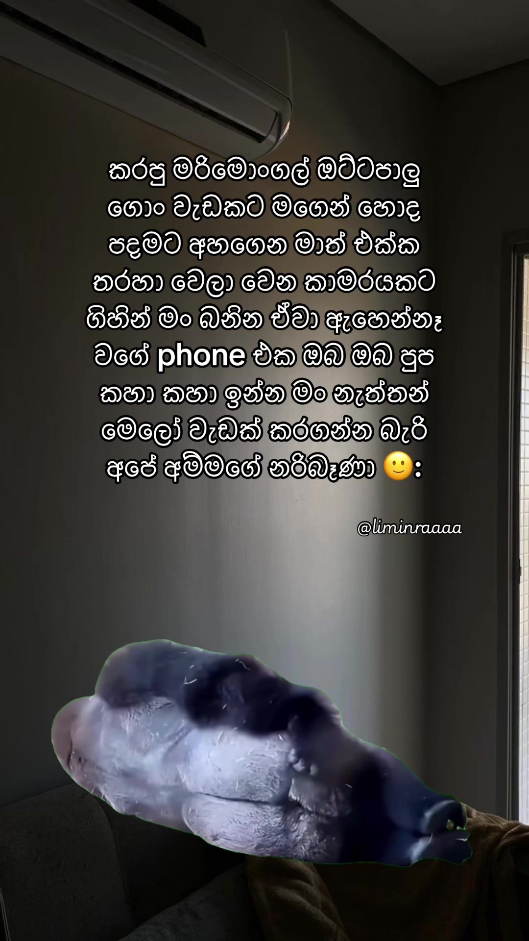 @Lisumi Jayawardana