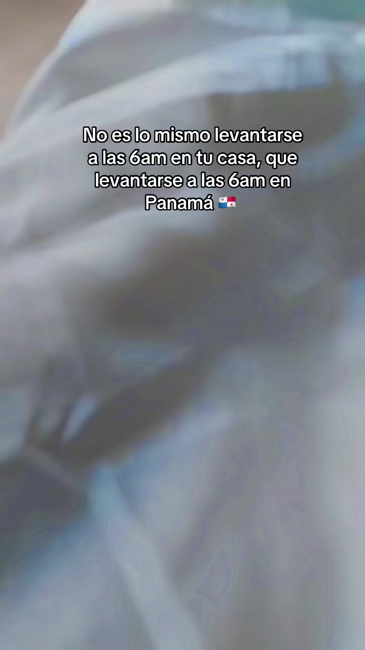 @Janecitabeilla