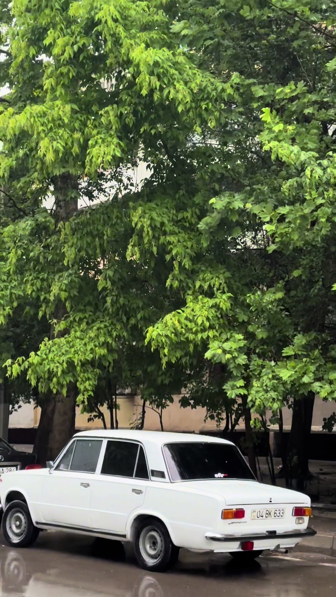 @UĞUR 555🇦🇿