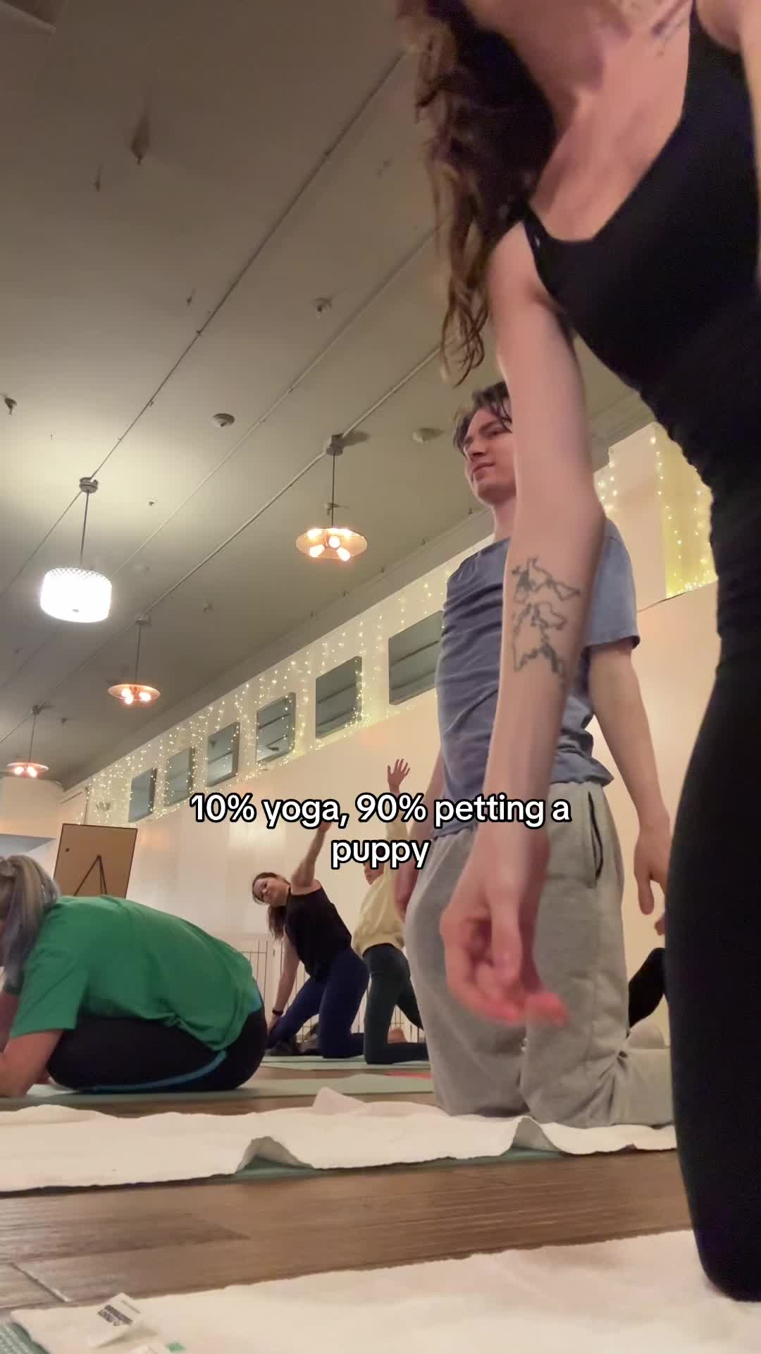 @typoenergyyy