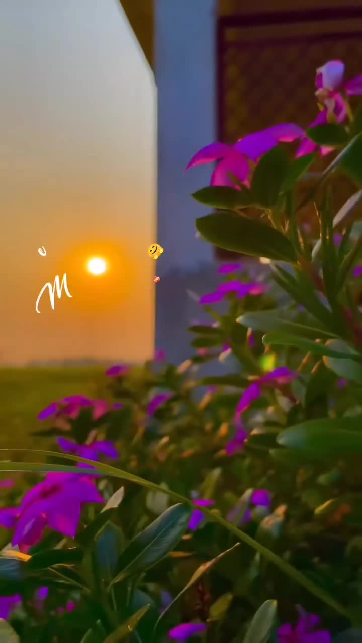 @serene_terriona