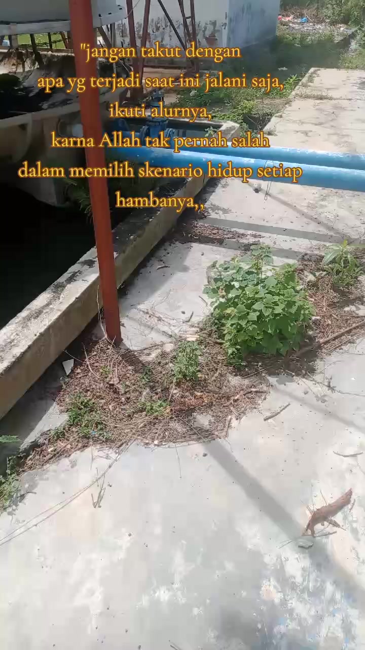 @RESMI KEMBALI🐠