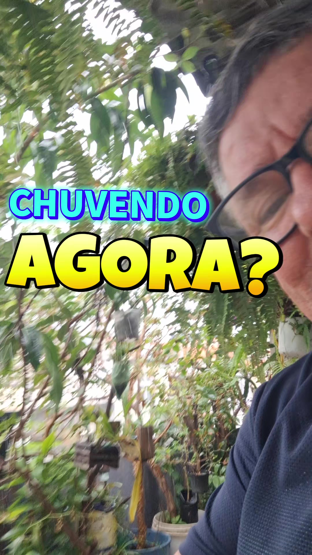@RO&Ccedil;A DO DRIM