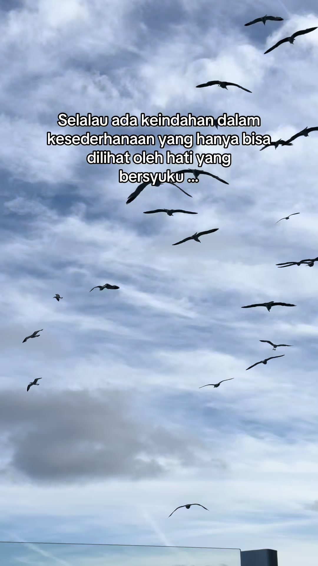 @๐๐ฅ๐ ๐ฃ๐ช ๐๐๐ฅ๐