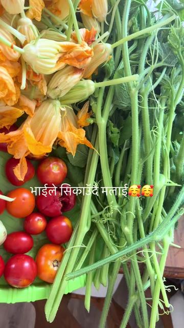 @userbaralpaudel