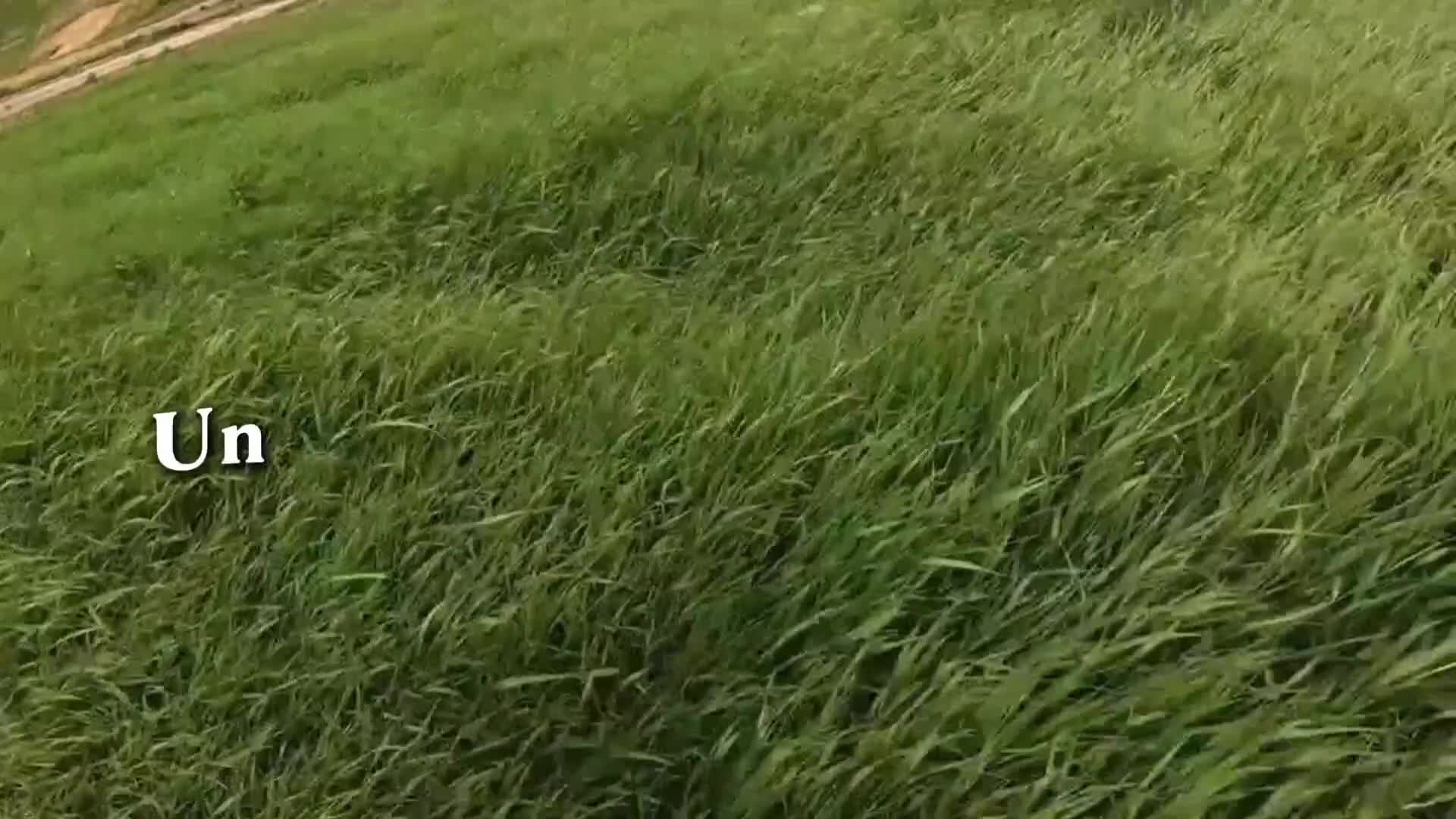 @Stickleꨄ