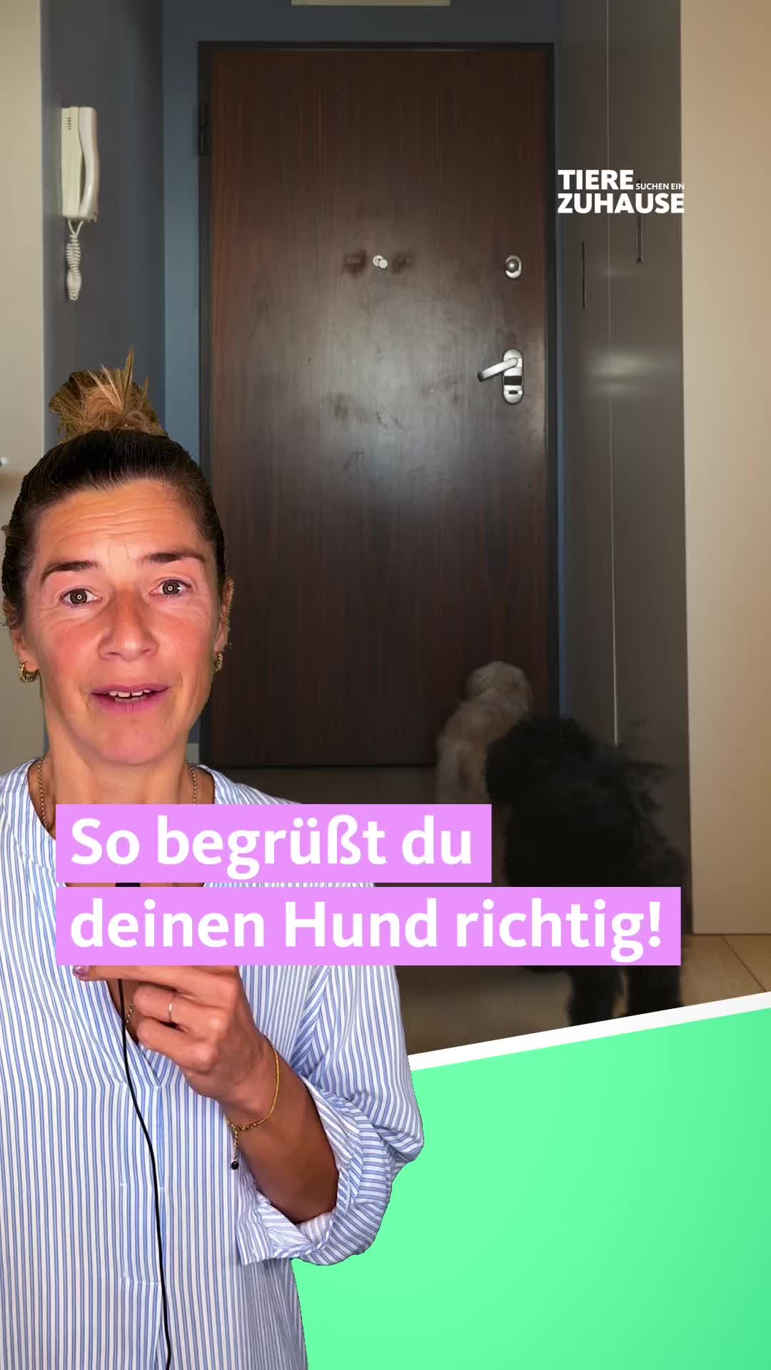 @Tiere suchen ein Zuhause