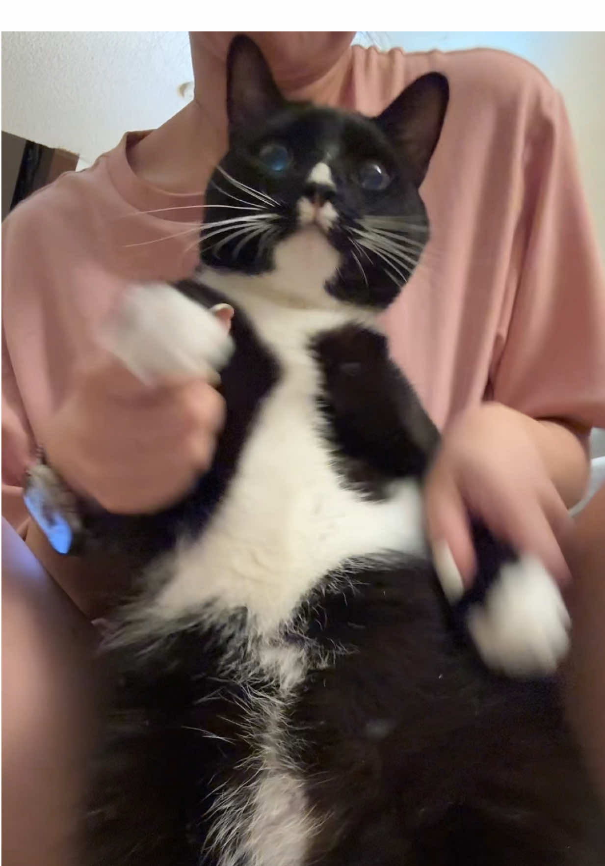 @WaggingTales