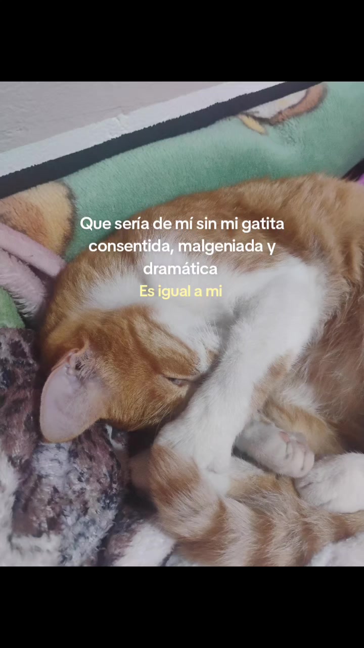 @Sthefy