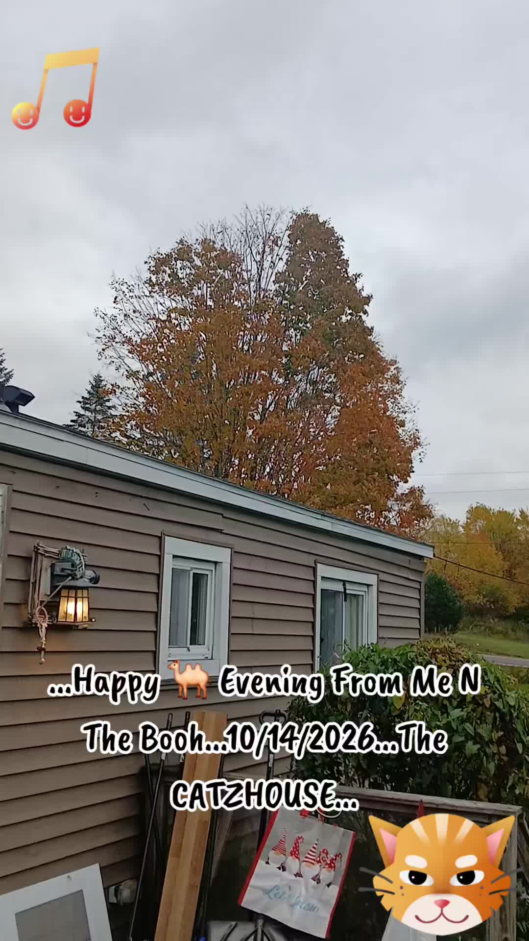@Booh Hovey crazycatlady3