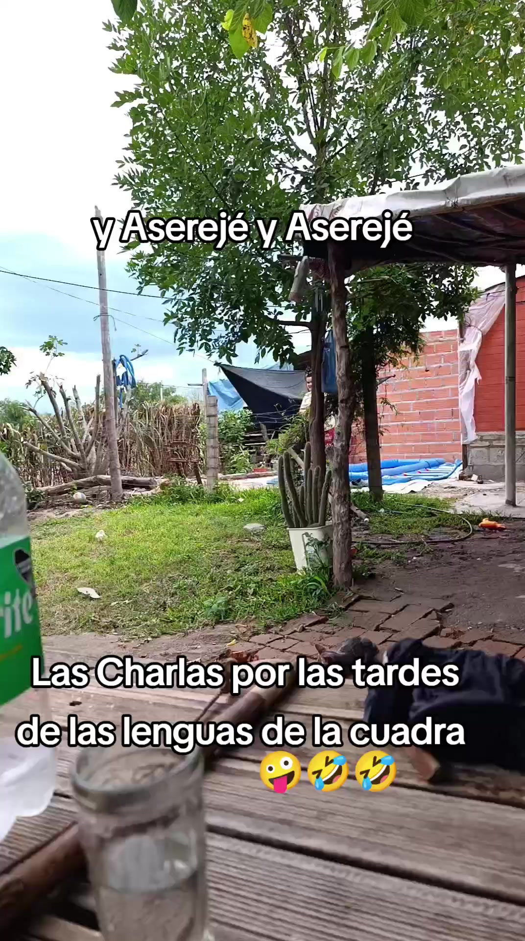 @Griselda Celeste Sos