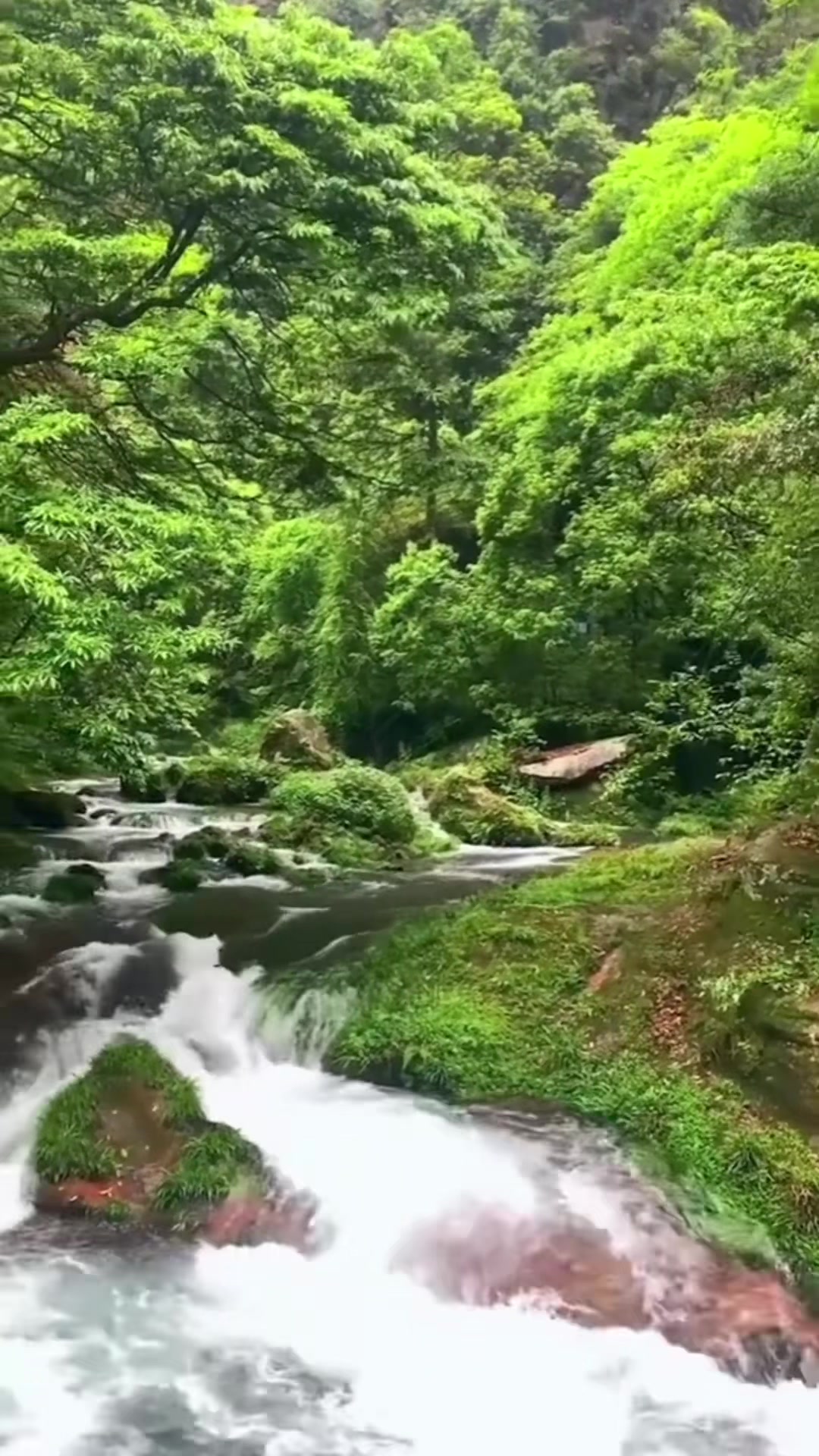 @Rare_