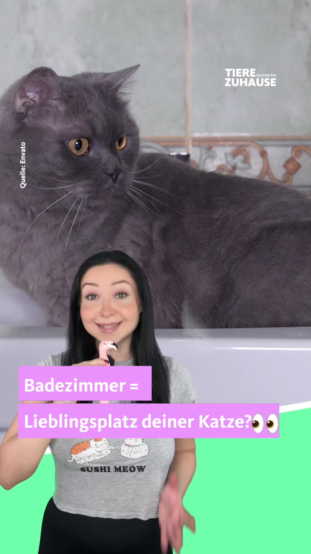 @Tiere suchen ein Zuhause