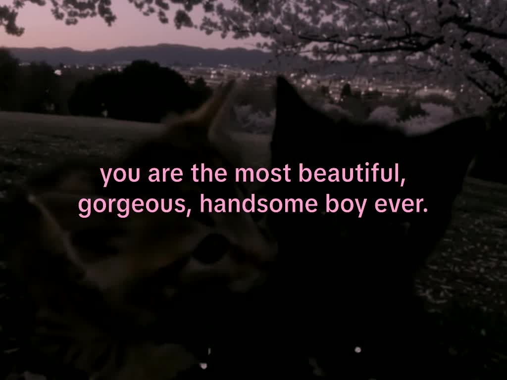 @mond