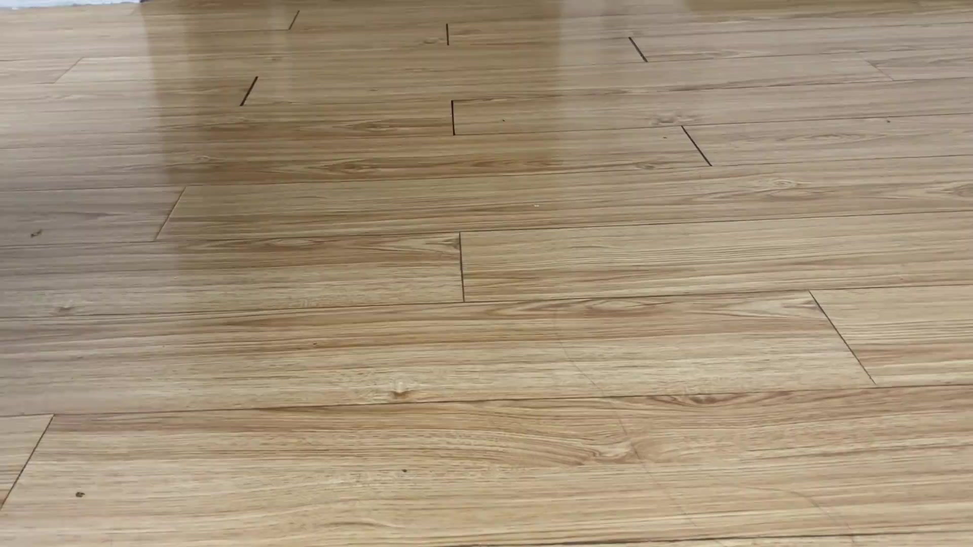 @๐๐ค๐ช๐ง ๐๐๐๐๐ฆ