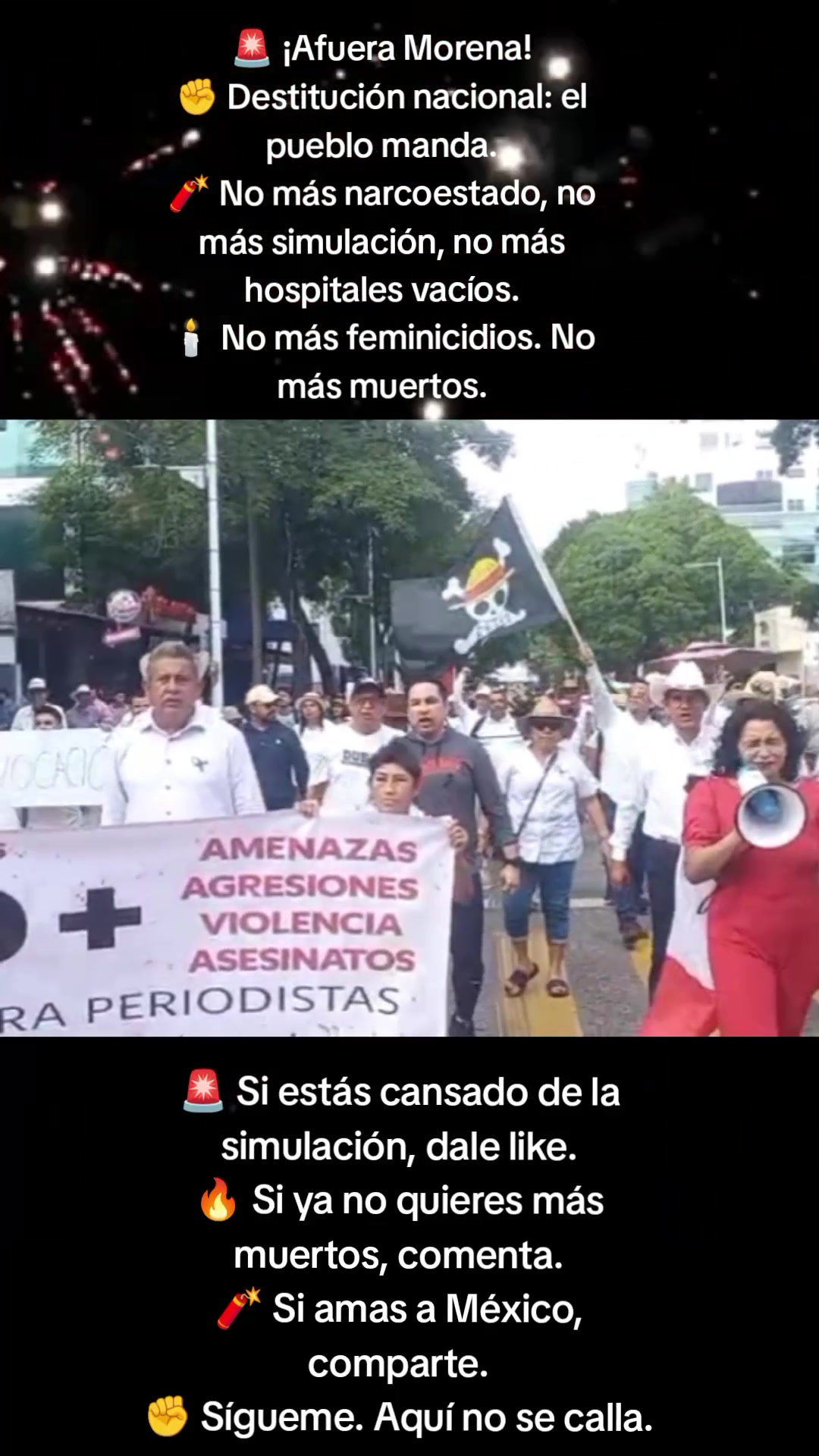 @DIANA ALFARO ESTRADA