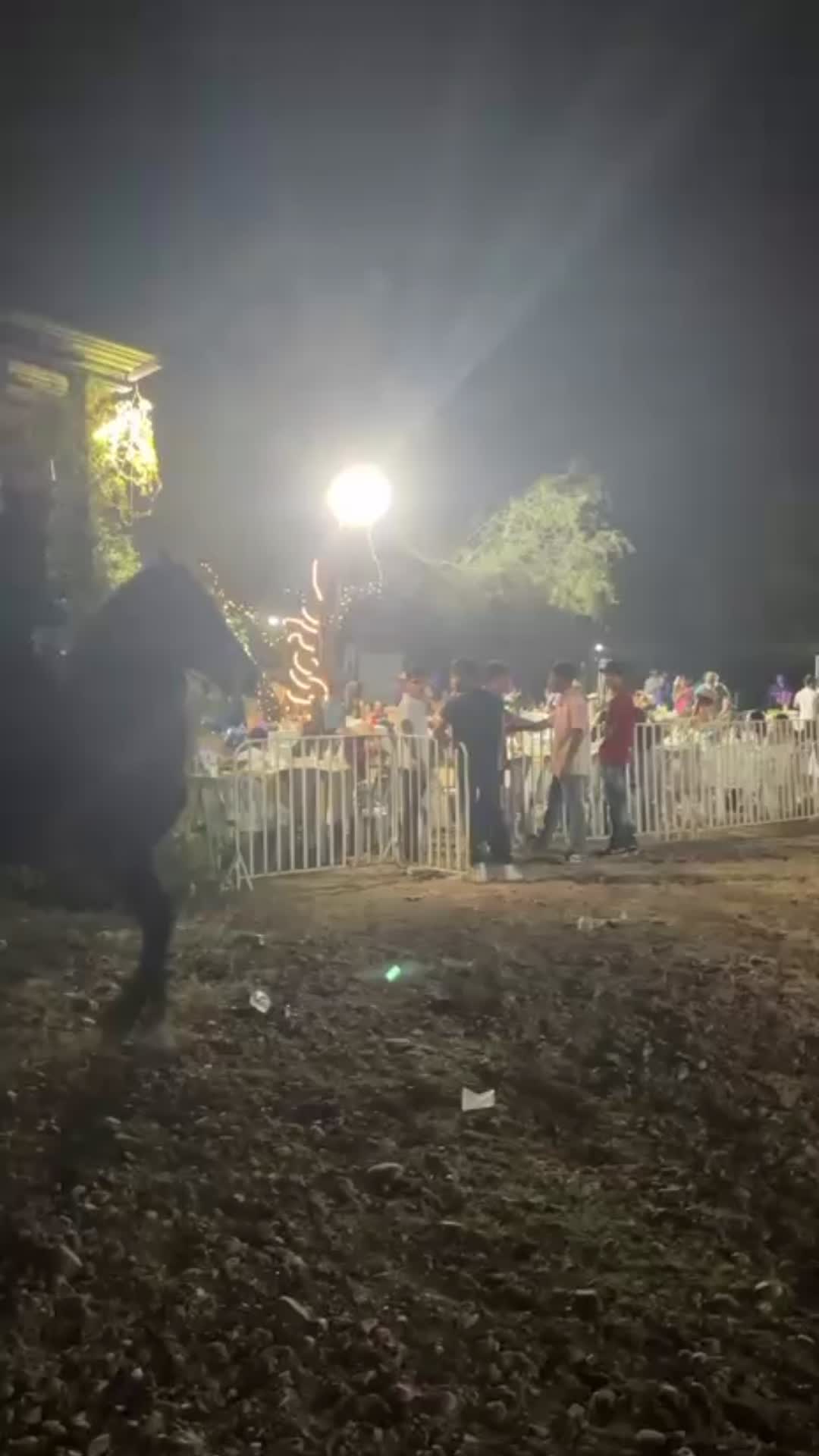 @K.borja🐴