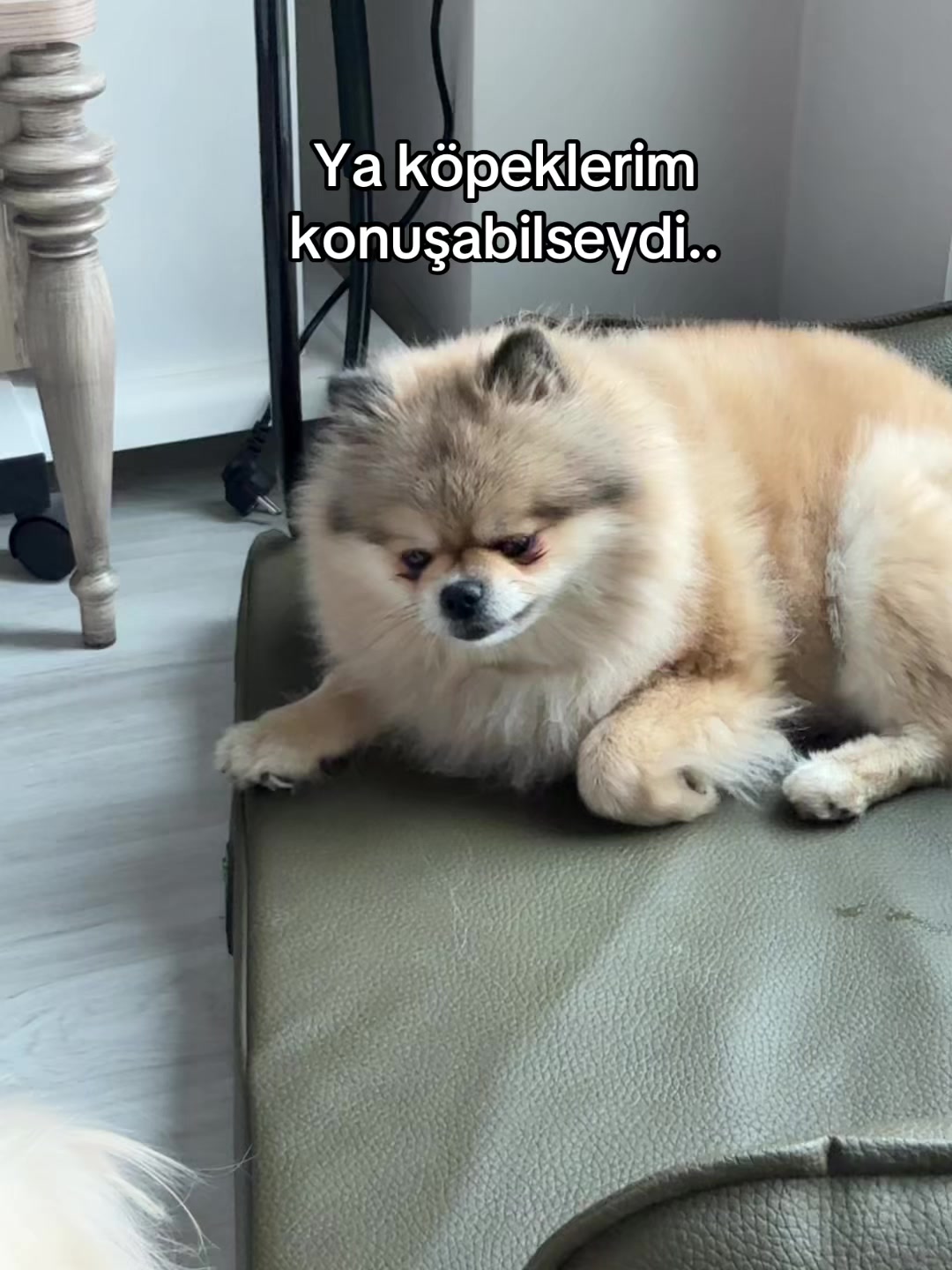 @Merve *****