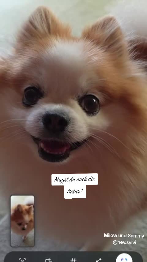 @Milow und Sammy