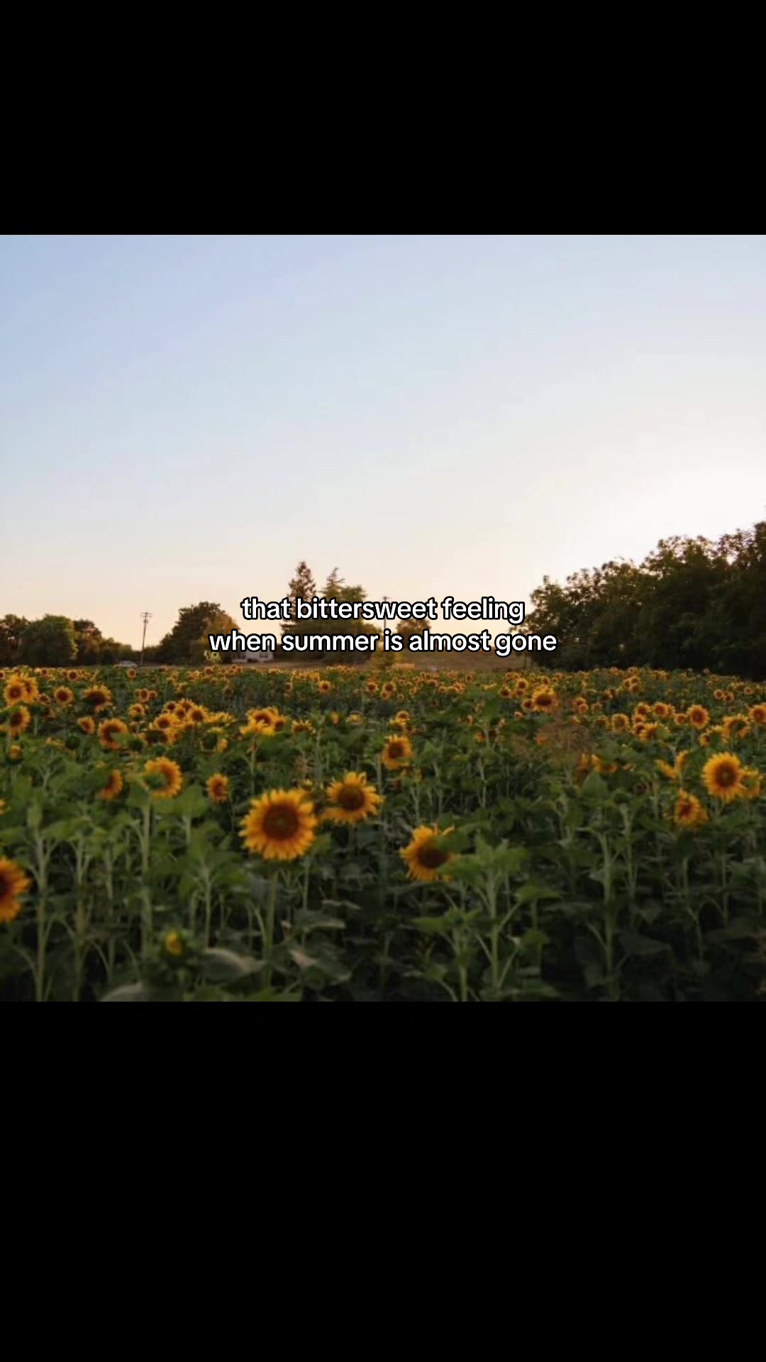@literary.thoughtss