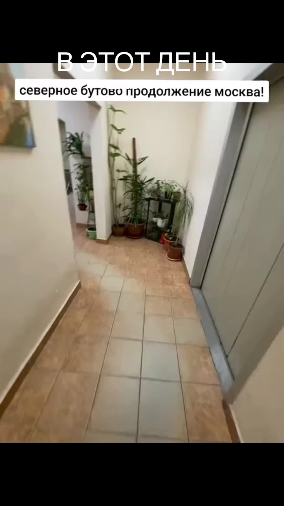 @Денис