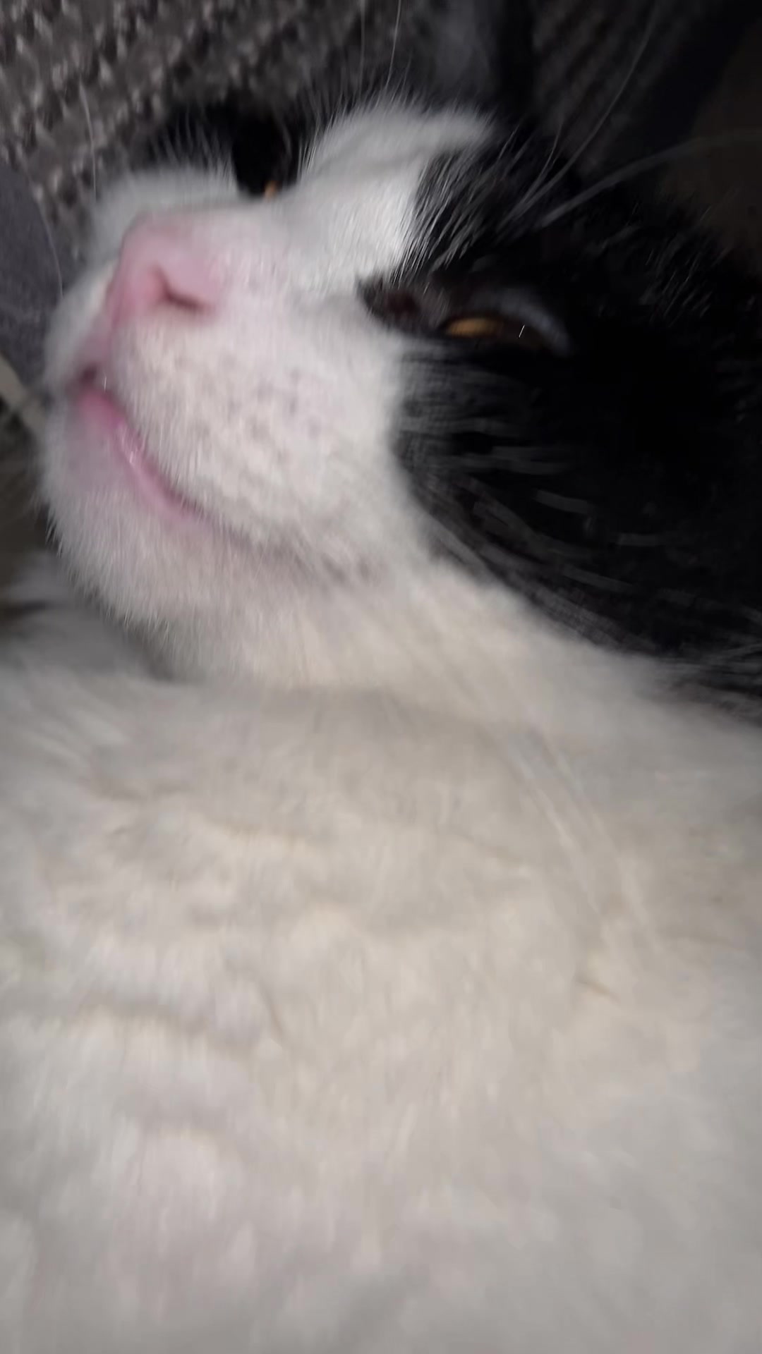 @P S Y D S T E P