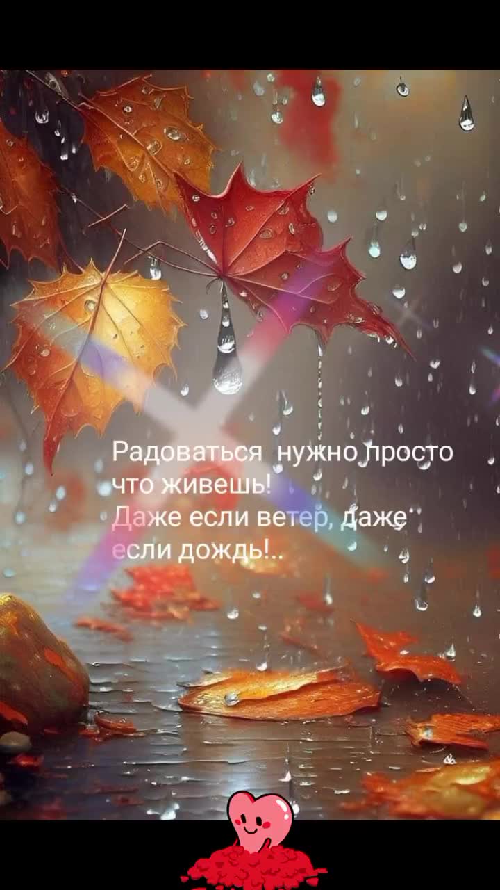 @mila19611801
