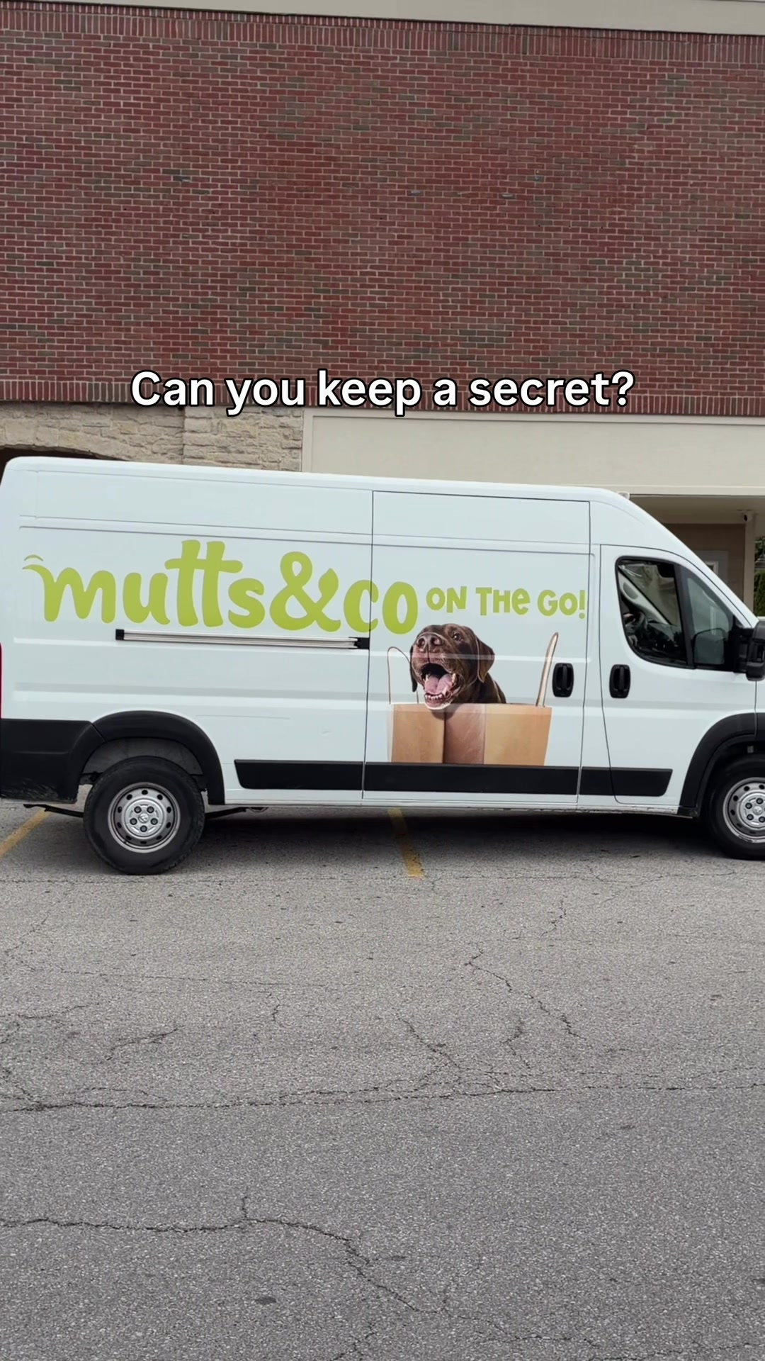 @Mutts & Co.