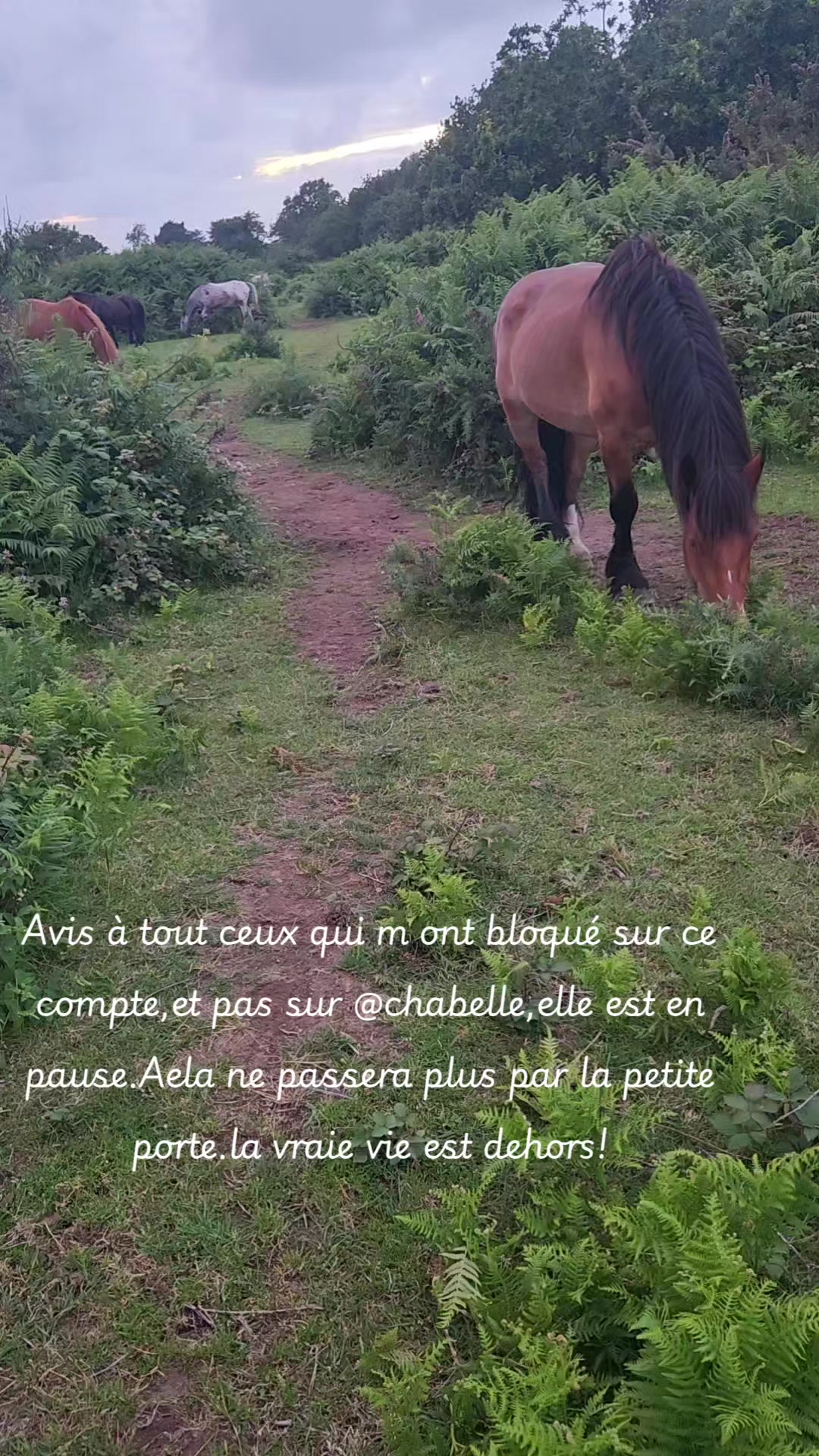 @☘️🦄Aela🌷🙏❤️