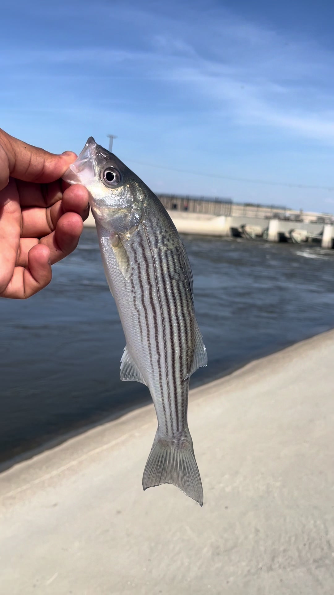 @kernfishing661_