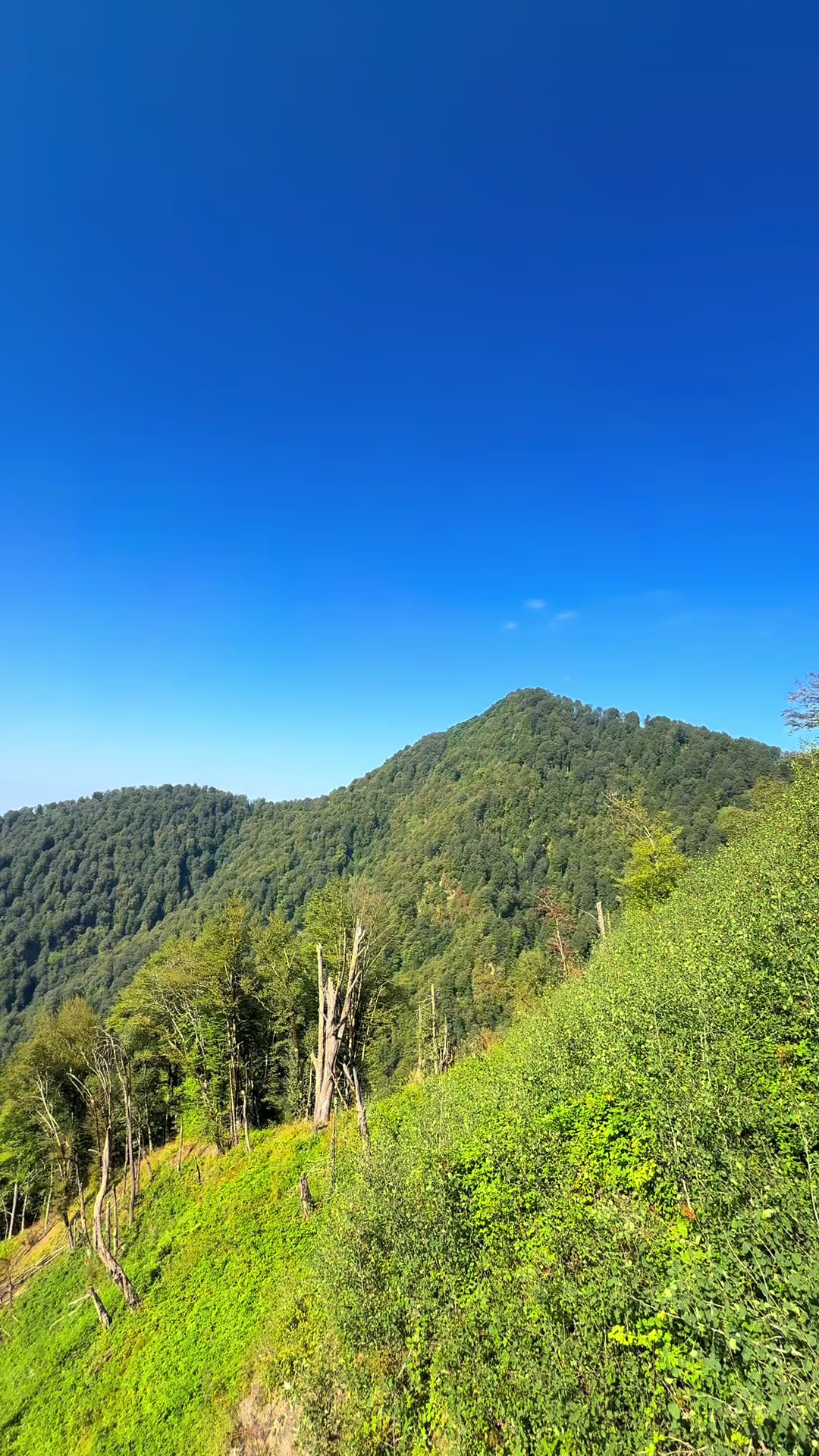 @𝑺.🇦🇿