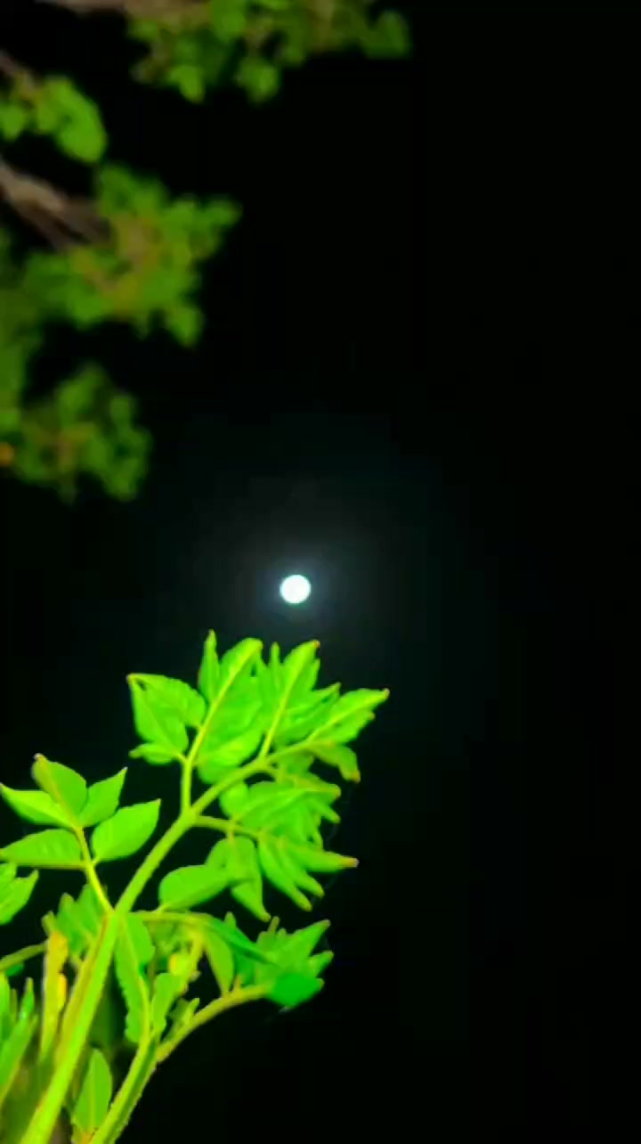 @Shameer Shah