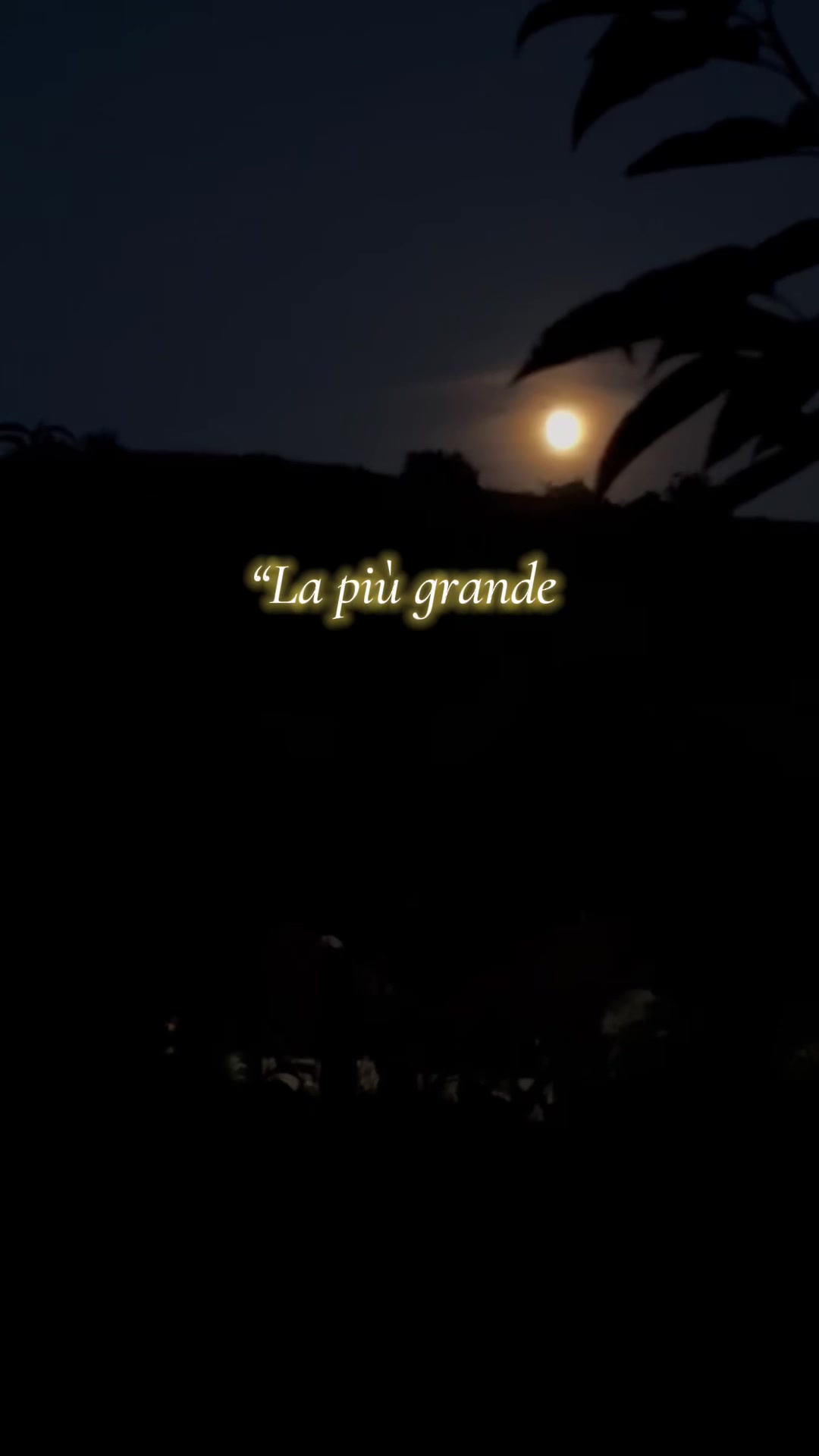 @💛🌟Elena🌟🌓