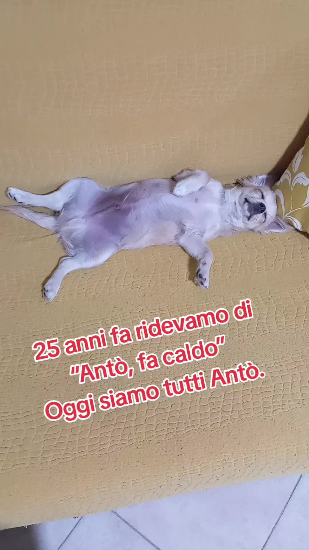 @ELE..meglio folli che noiosi