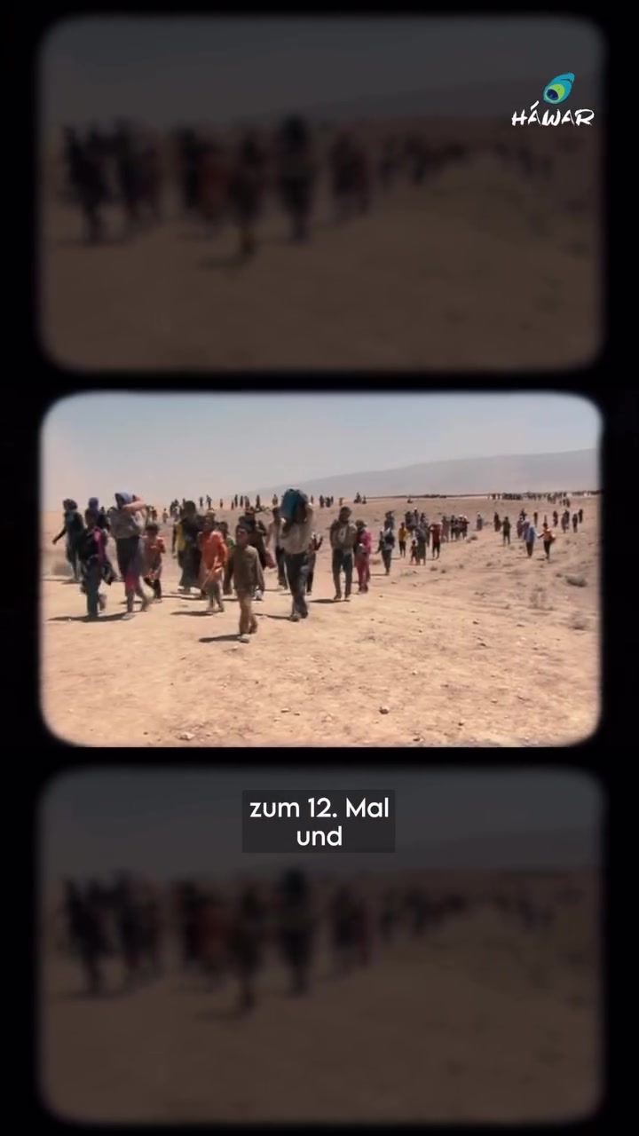@Düzen Tekkal