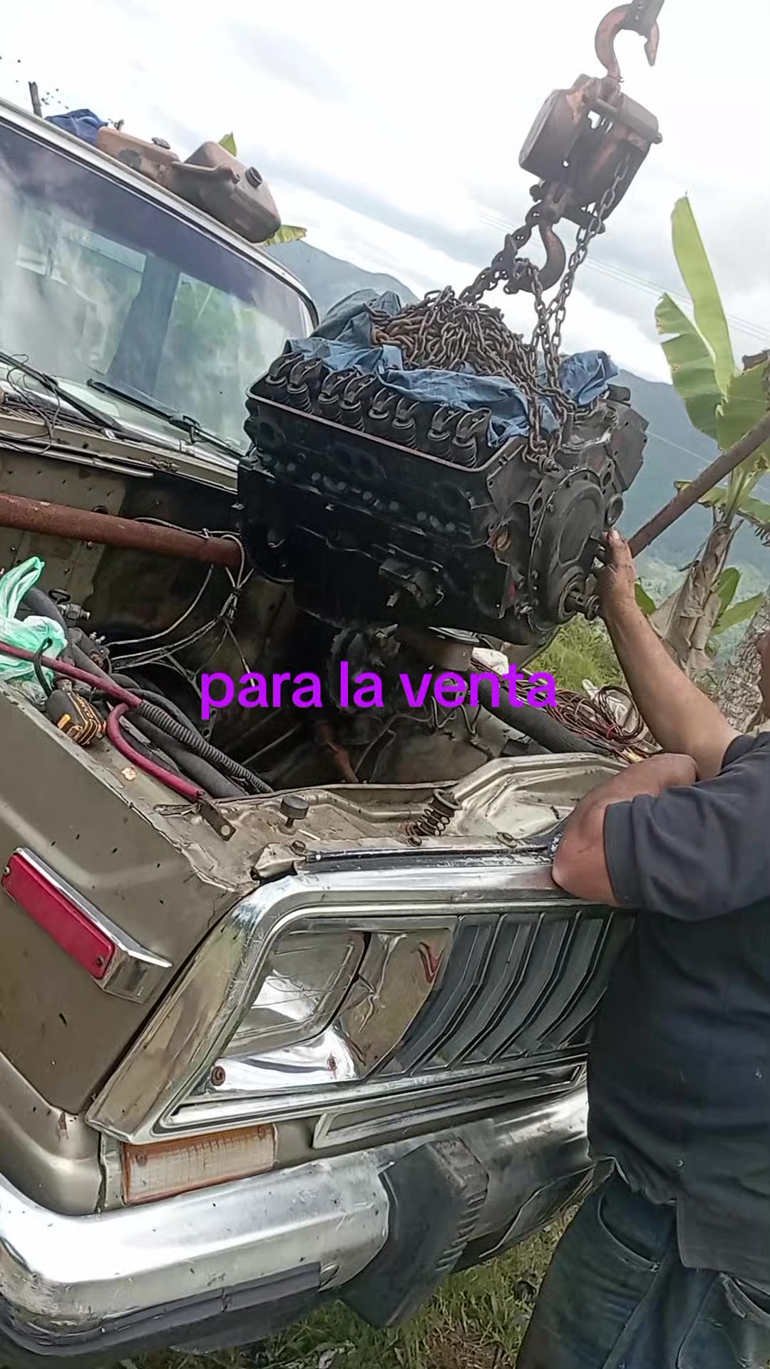 @el cuti leo