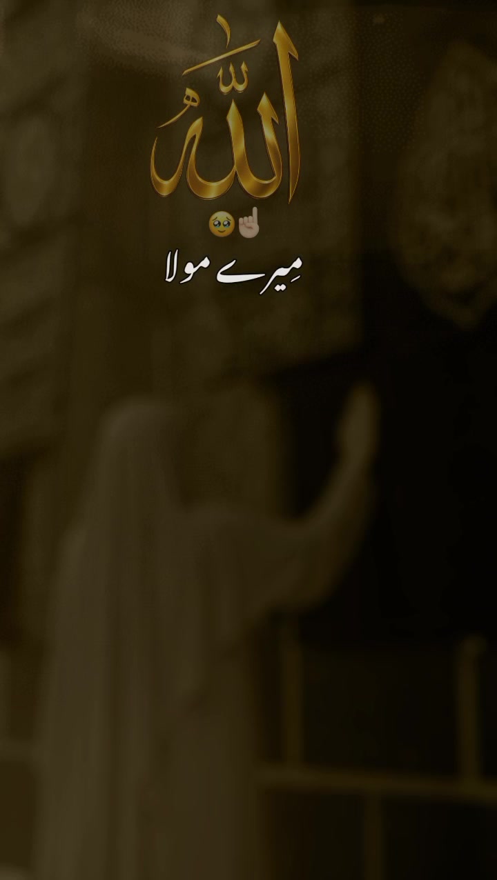 @shehzadi710