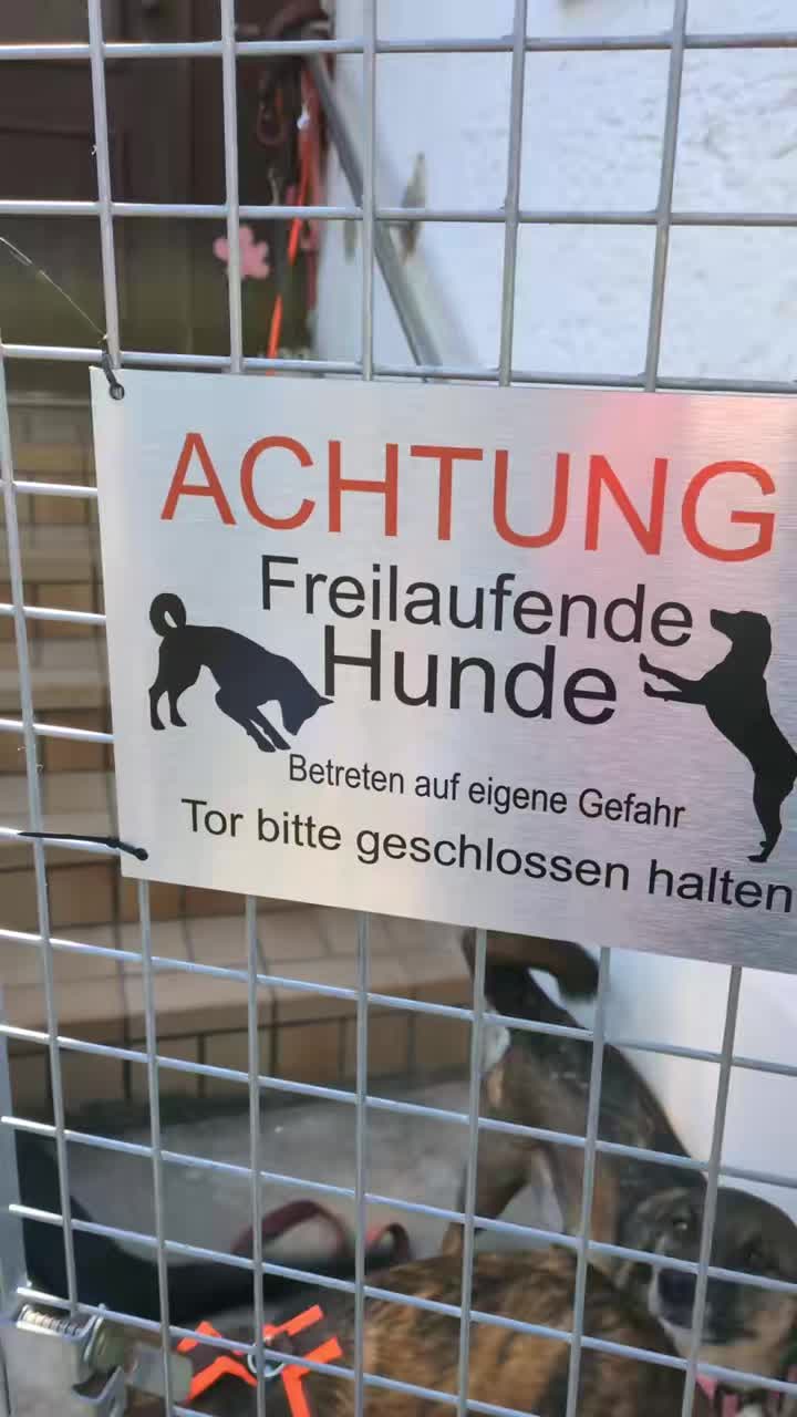 @hundumgluecklichx4