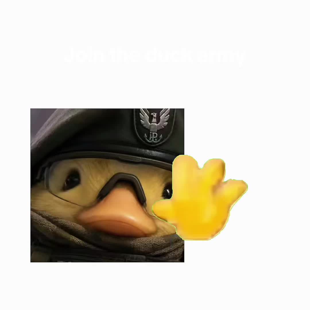 @Duck