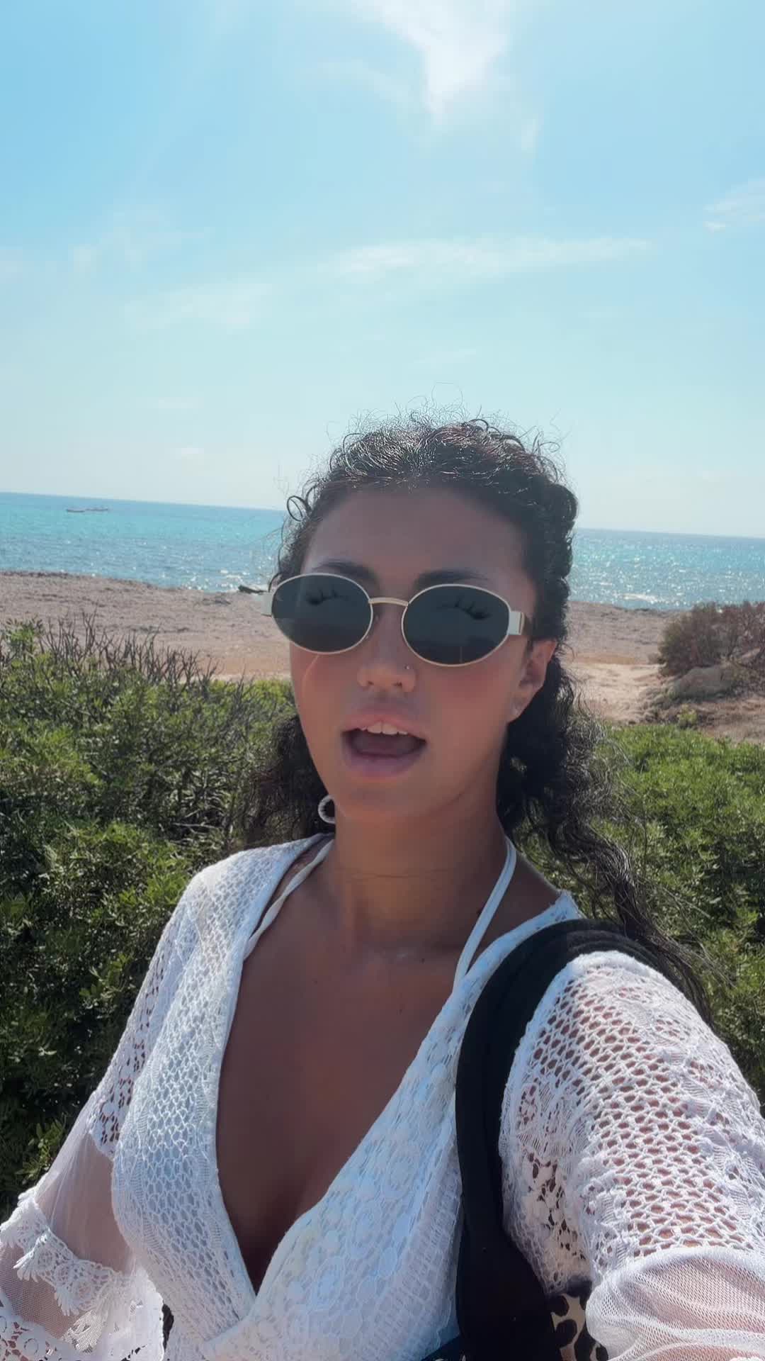 @SYRIA BORDI