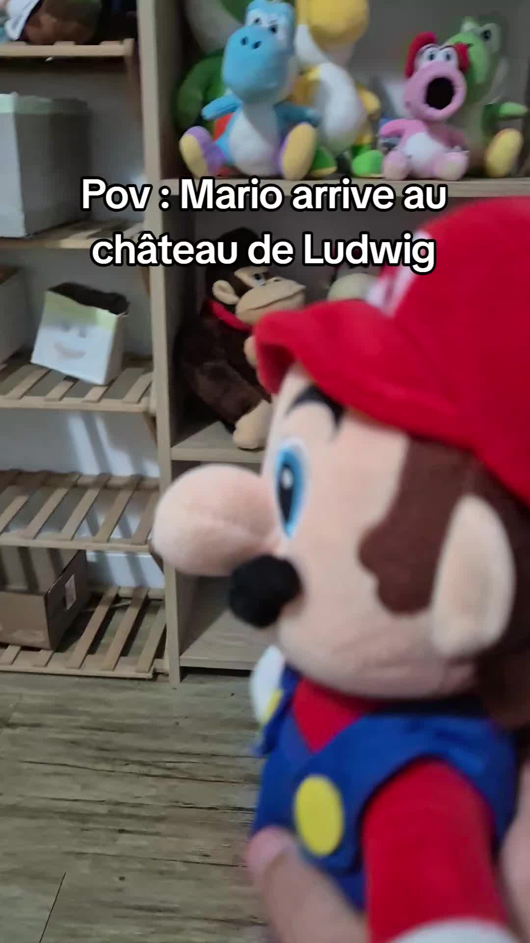 @peluchemario64