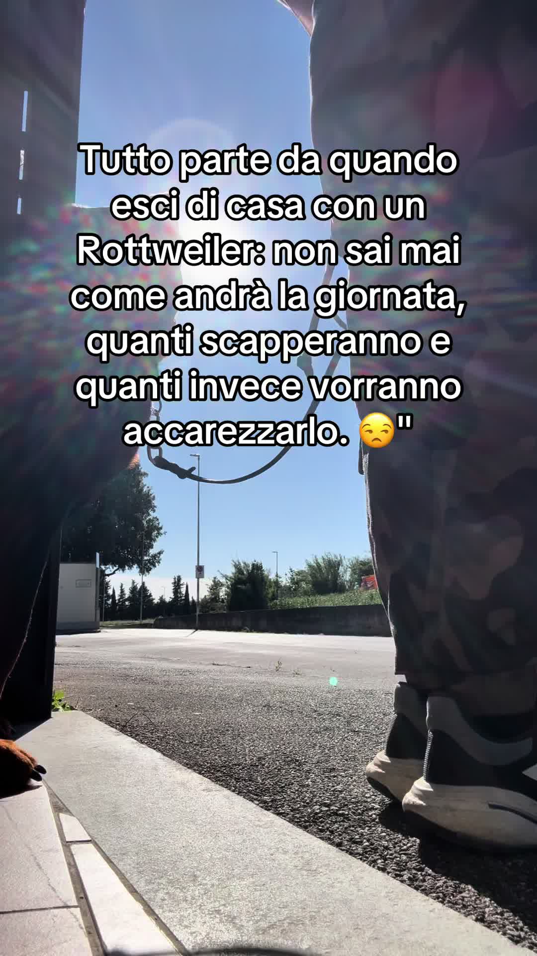 @Le avventure di Thor 🌪️ w ❤️