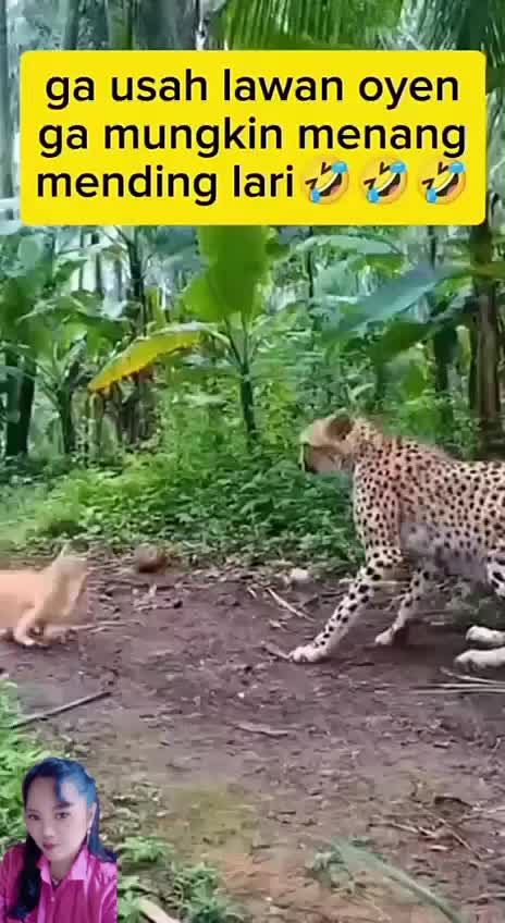 @arulalfan8