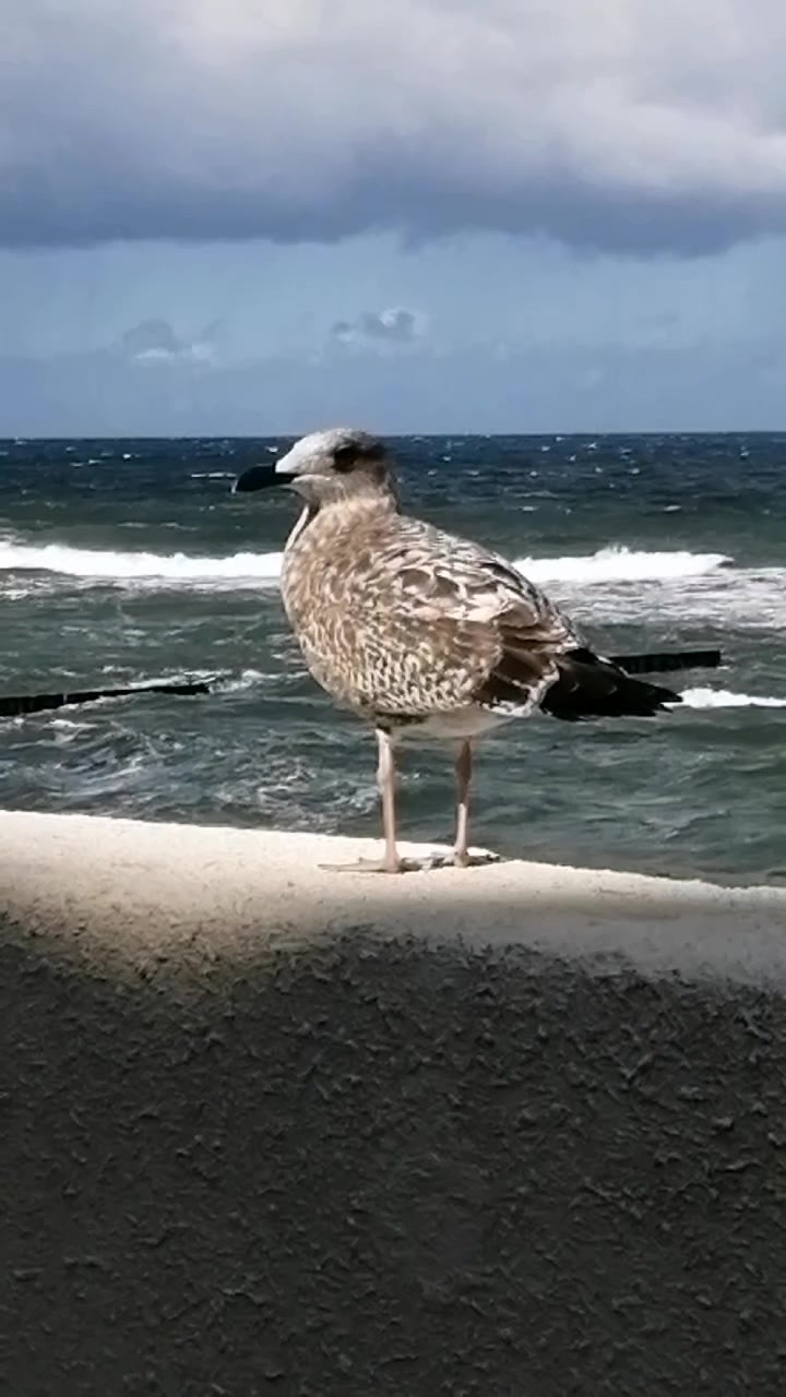 @Татьяна