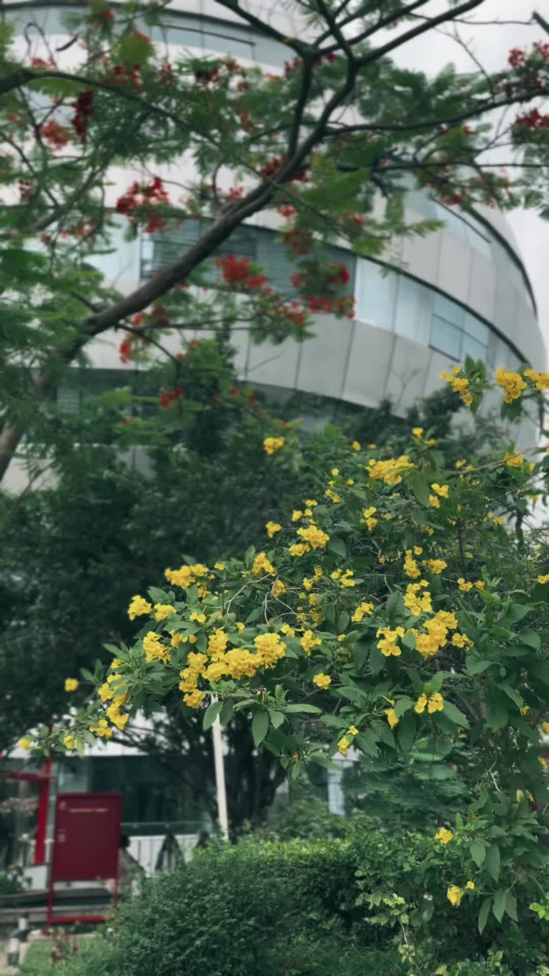@CineAbir